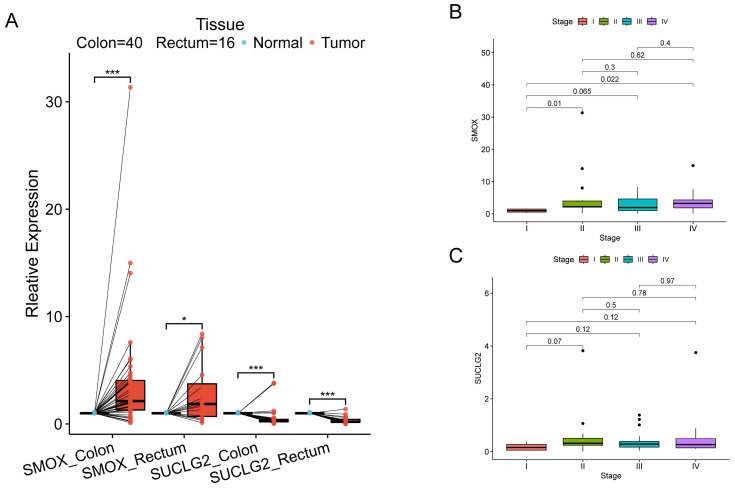 PMC12191581 – cimb-47-00465-f009