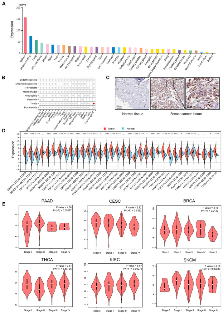 PMC12468175 – cimb-47-00712-f001