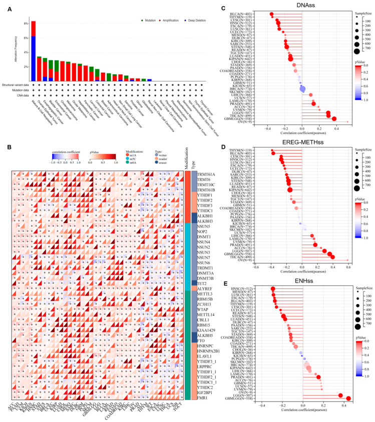PMC12468175 – cimb-47-00712-f003