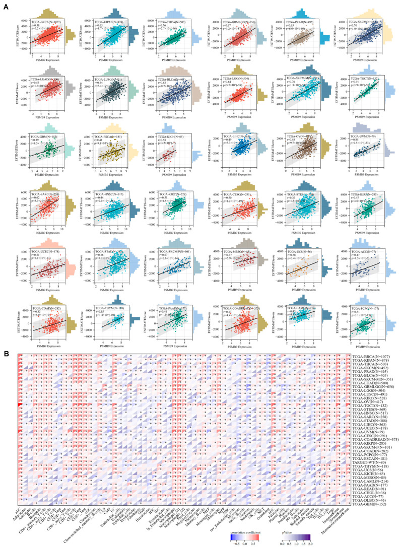 PMC12468175 – cimb-47-00712-f005
