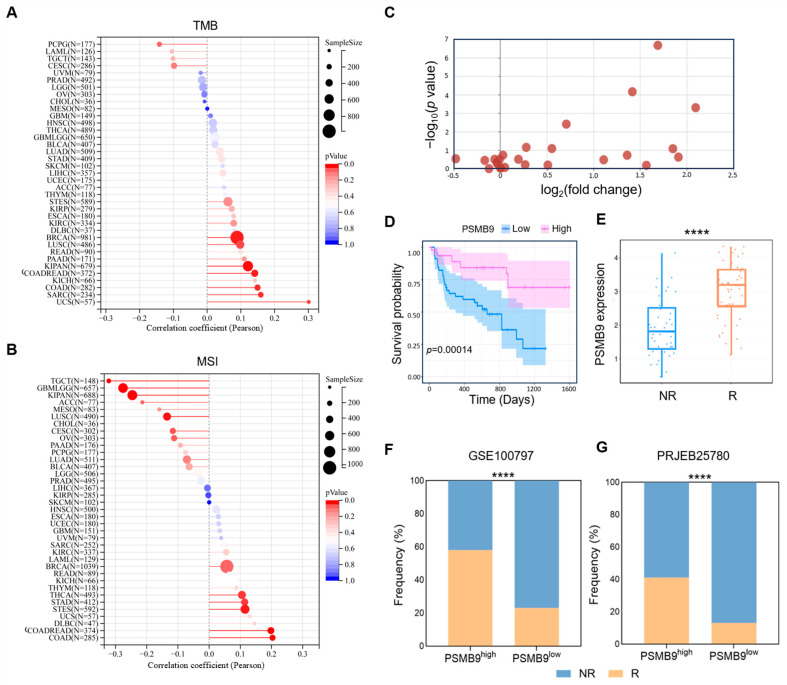 PMC12468175 – cimb-47-00712-f006