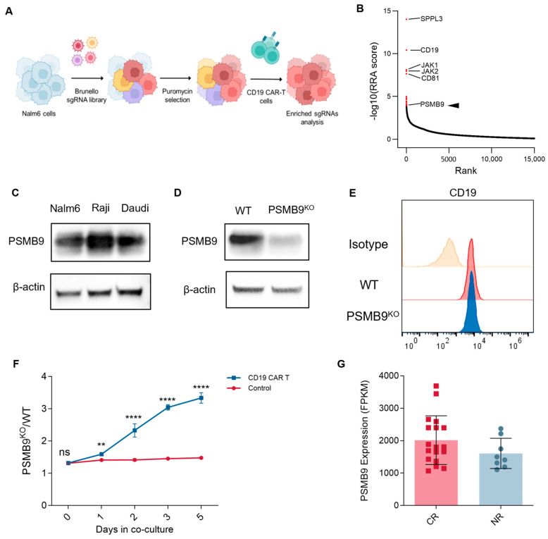 PMC12468175 – cimb-47-00712-f007