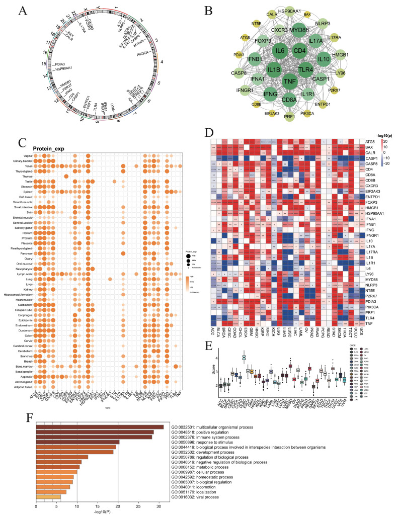 PMC12564767 – cimb-47-00812-f001