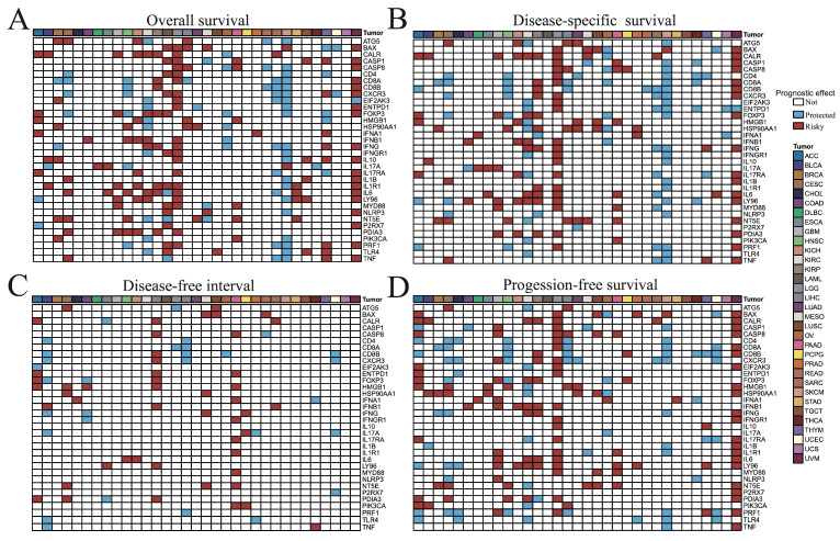 PMC12564767 – cimb-47-00812-f002