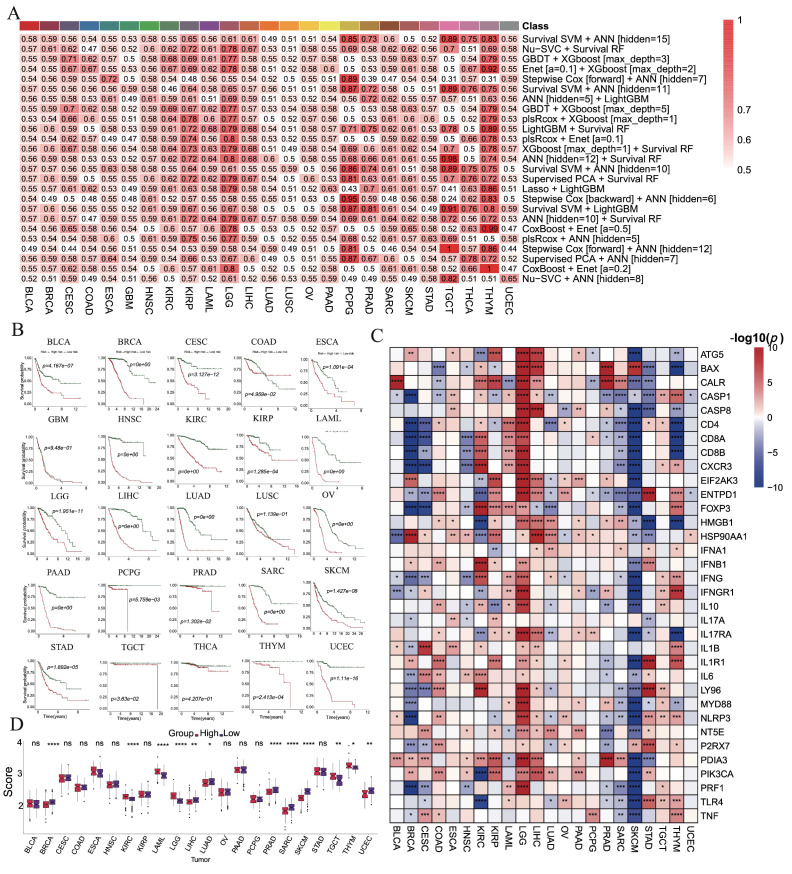 PMC12564767 – cimb-47-00812-f003