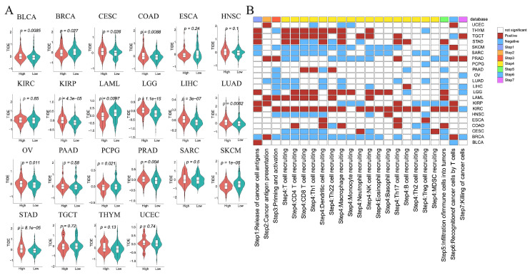 PMC12564767 – cimb-47-00812-f006