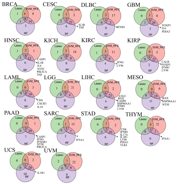 PMC12564767 – cimb-47-00812-f007