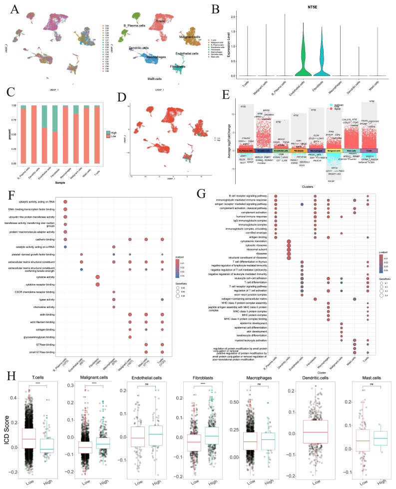 PMC12564767 – cimb-47-00812-f008