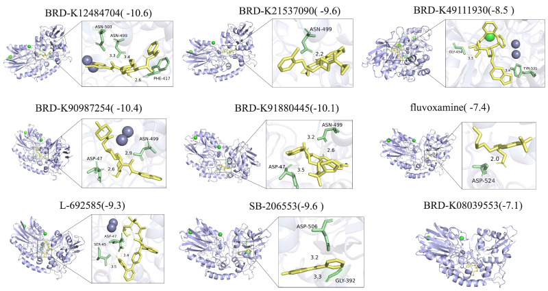 PMC12564767 – cimb-47-00812-f010