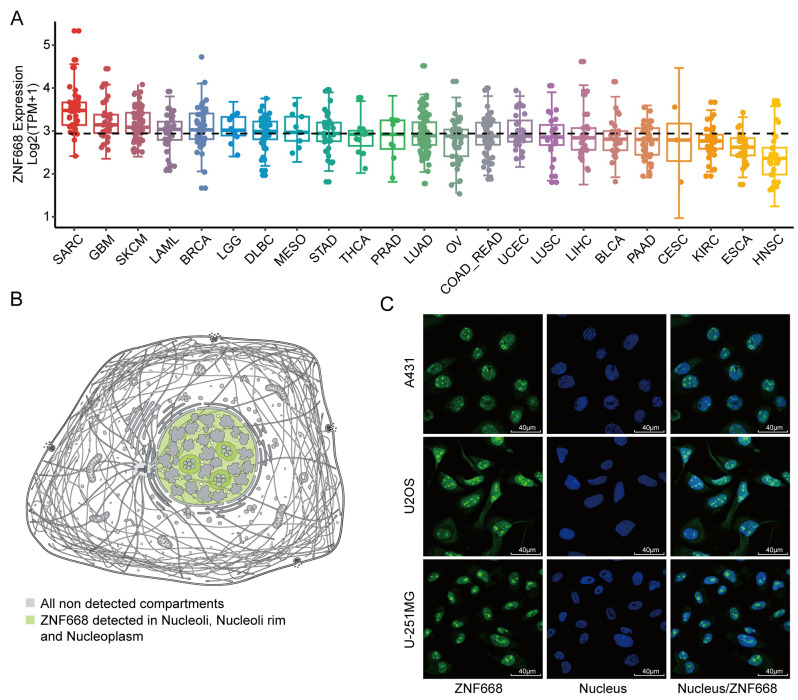 PMC12732025 – cimb-47-00997-f002