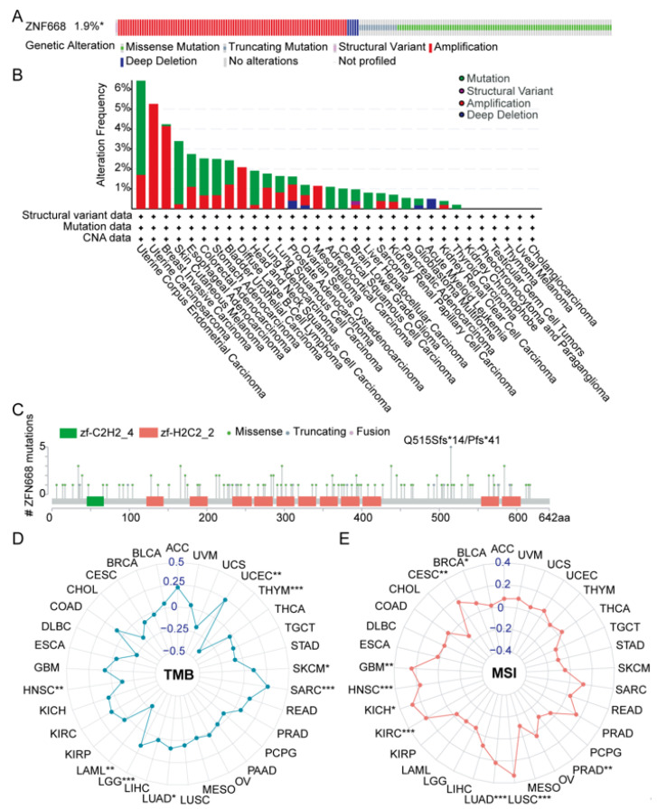 PMC12732025 – cimb-47-00997-f005