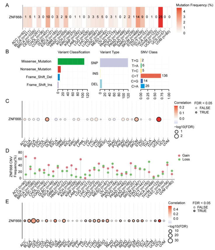 PMC12732025 – cimb-47-00997-f006