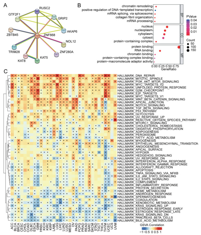 PMC12732025 – cimb-47-00997-f007