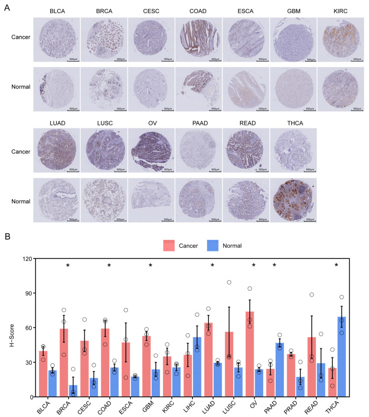 PMC12732025 – cimb-47-00997-f011