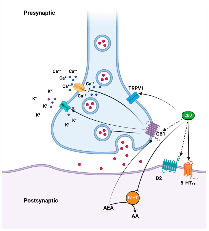 PMC11764316 – clinpract-15-00016-f001