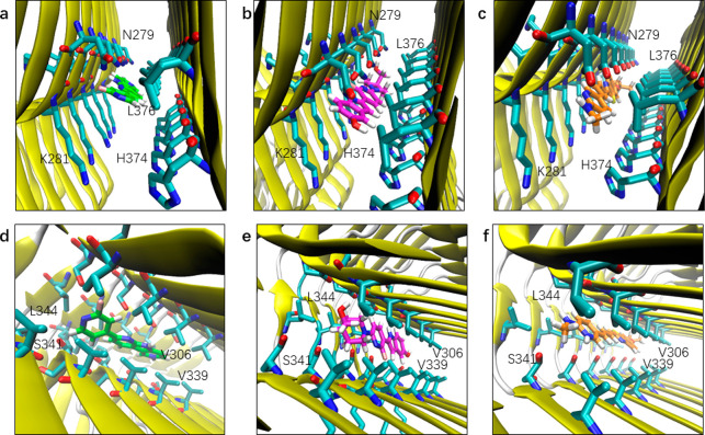 PMC8447187 – fig5