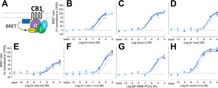 PMC10623572 – fig1
