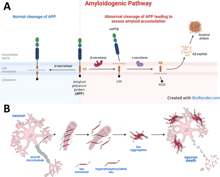 PMC11587518 – fig1
