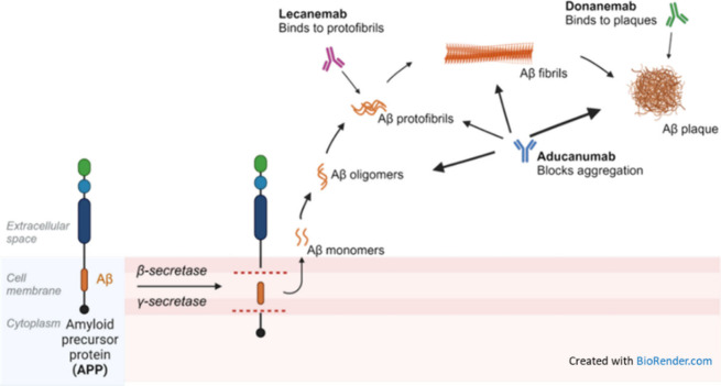 PMC11587518 – fig14