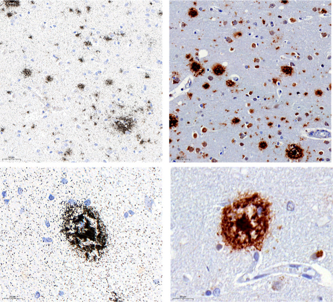 PMC11587505 – fig4