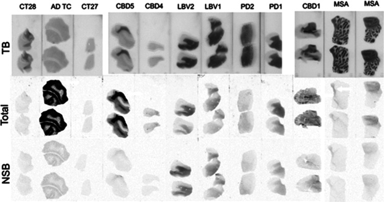 PMC11587505 – fig5