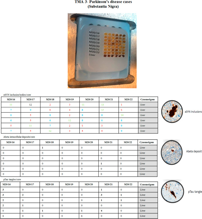 PMC11587505 – fig9