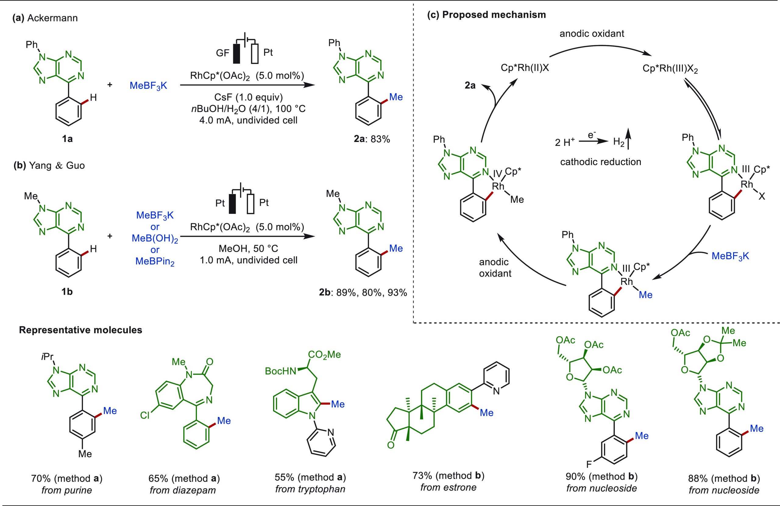 PMC10571048 – sch2