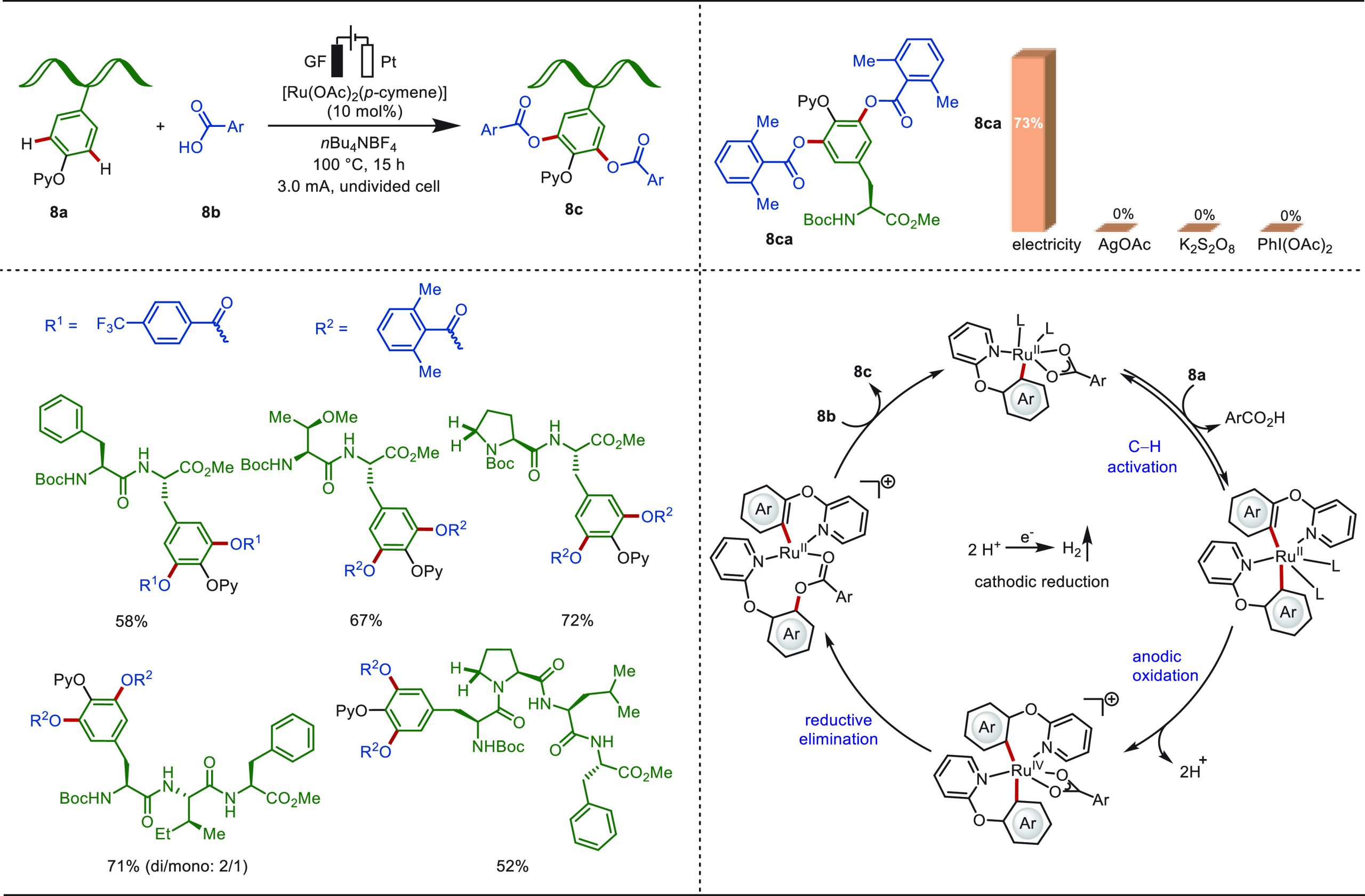 PMC10571048 – sch8