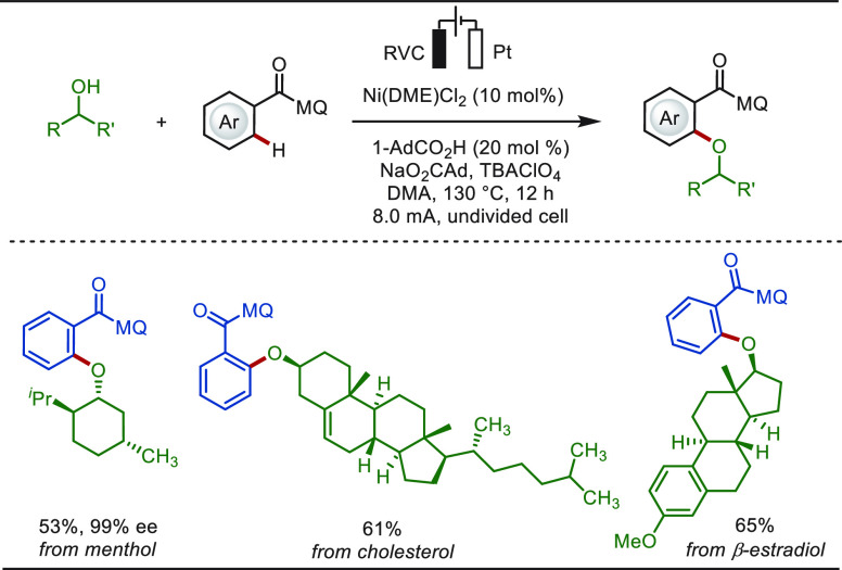 PMC10571048 – sch9