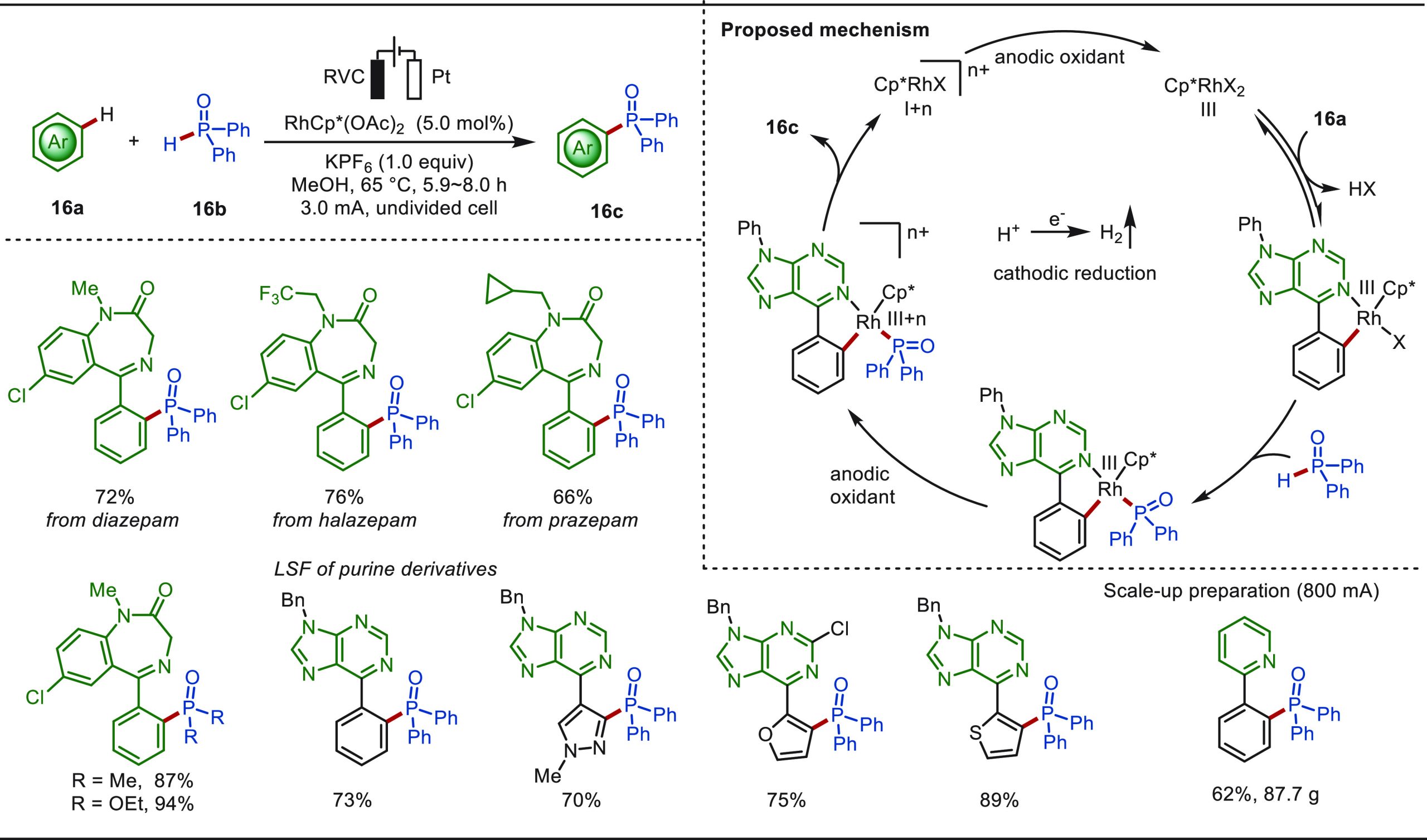 PMC10571048 – sch16