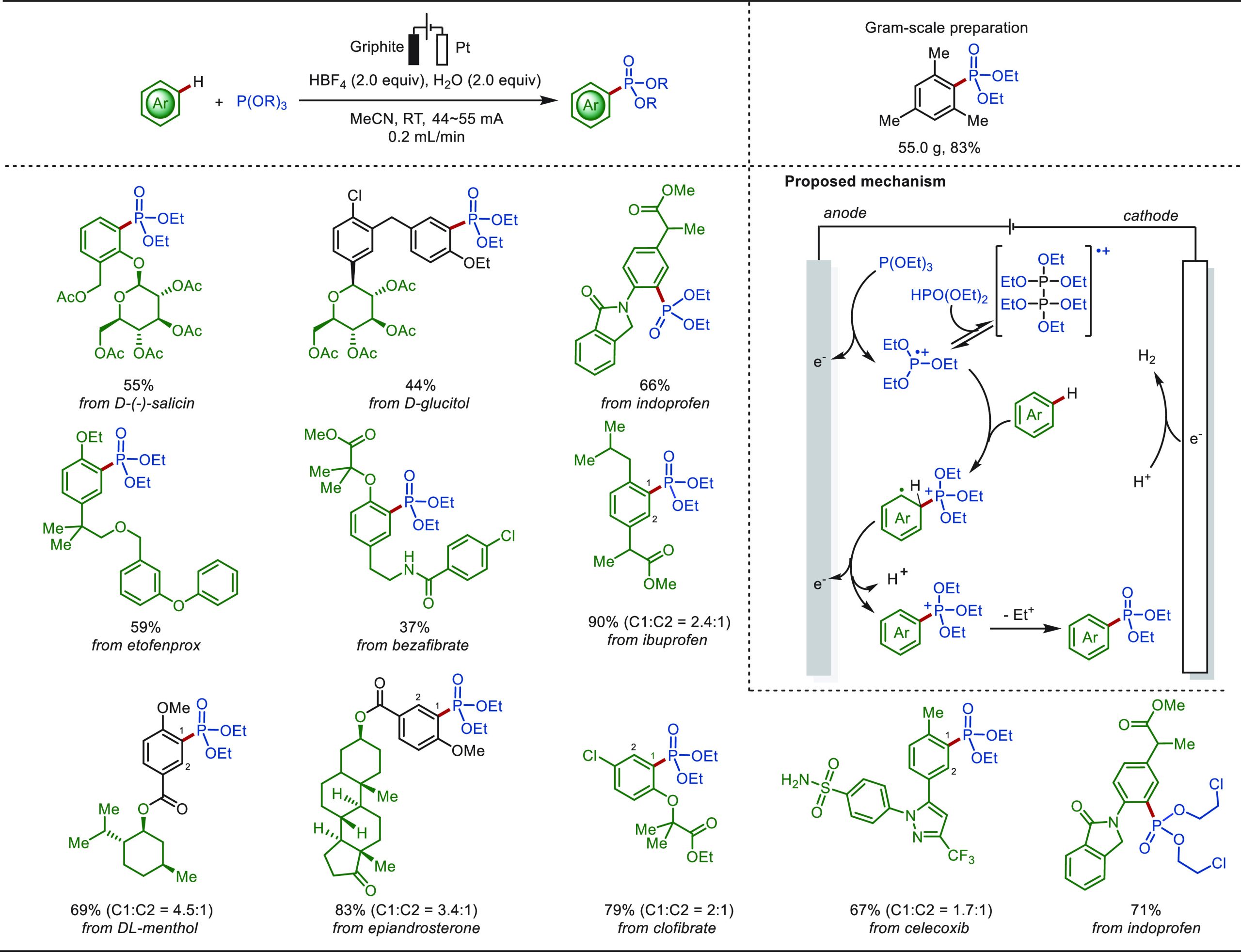 PMC10571048 – sch17