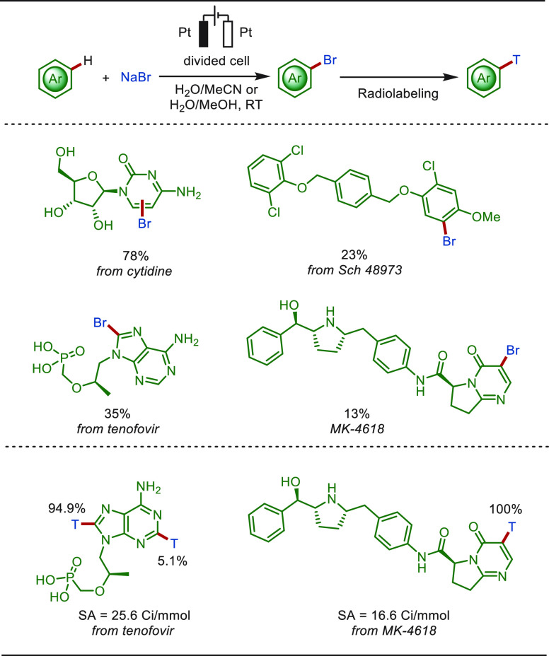 PMC10571048 – sch19