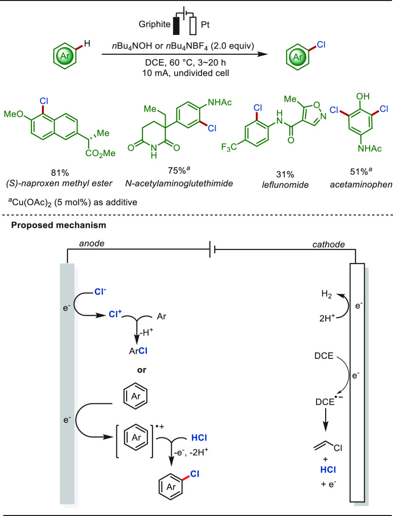 PMC10571048 – sch20
