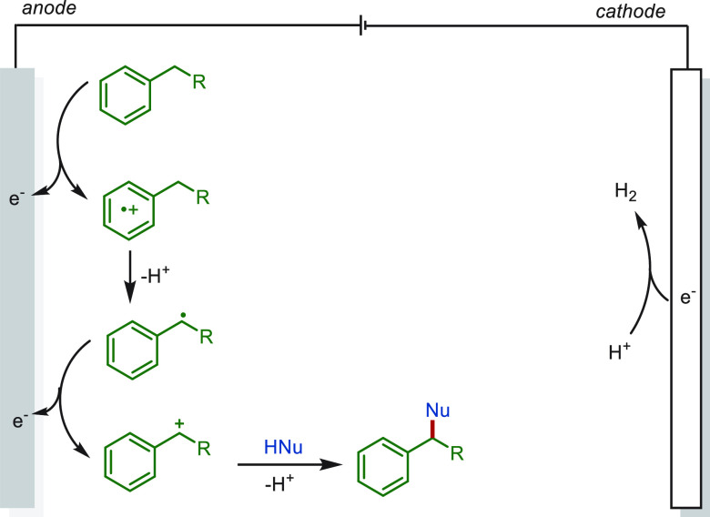 PMC10571048 – sch25