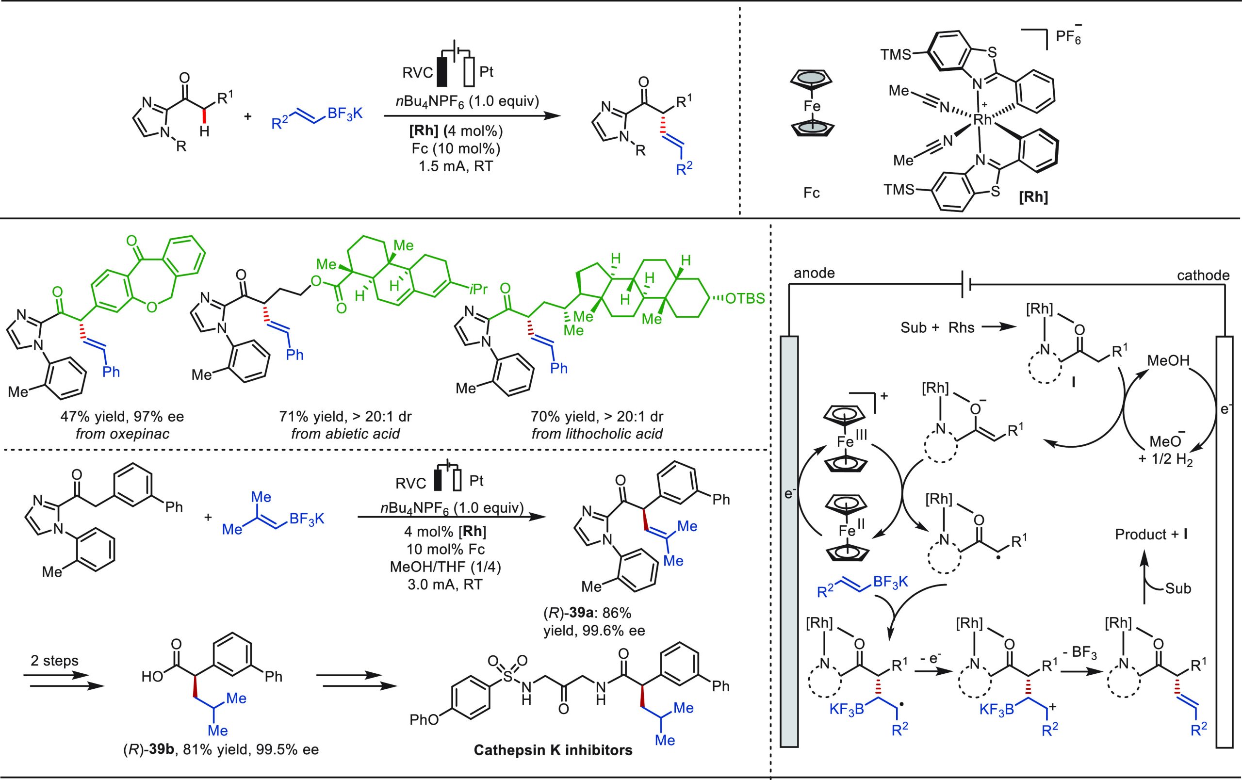 PMC10571048 – sch39