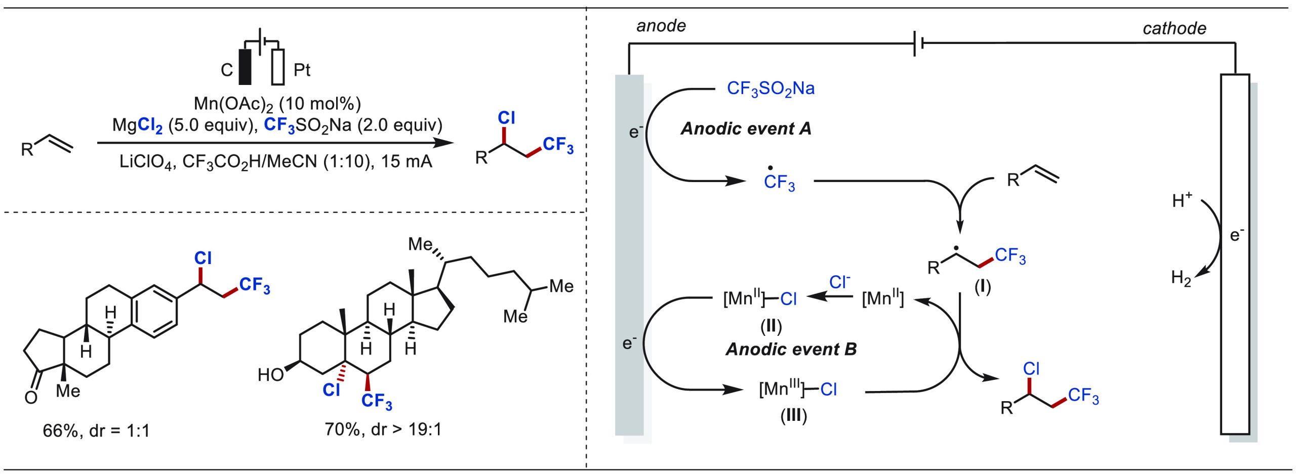 PMC10571048 – sch48