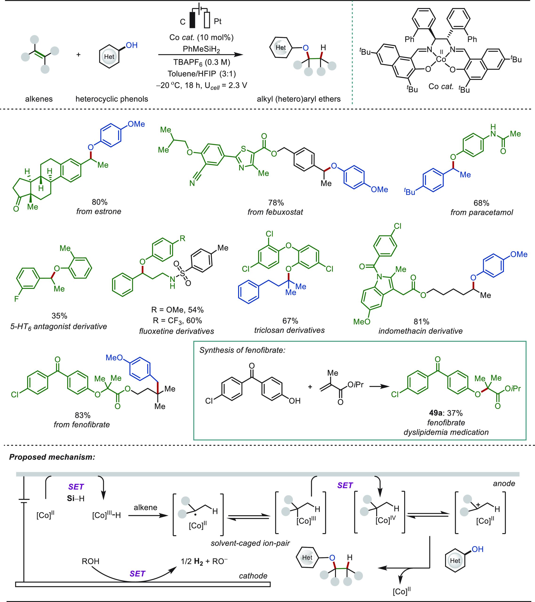 PMC10571048 – sch49