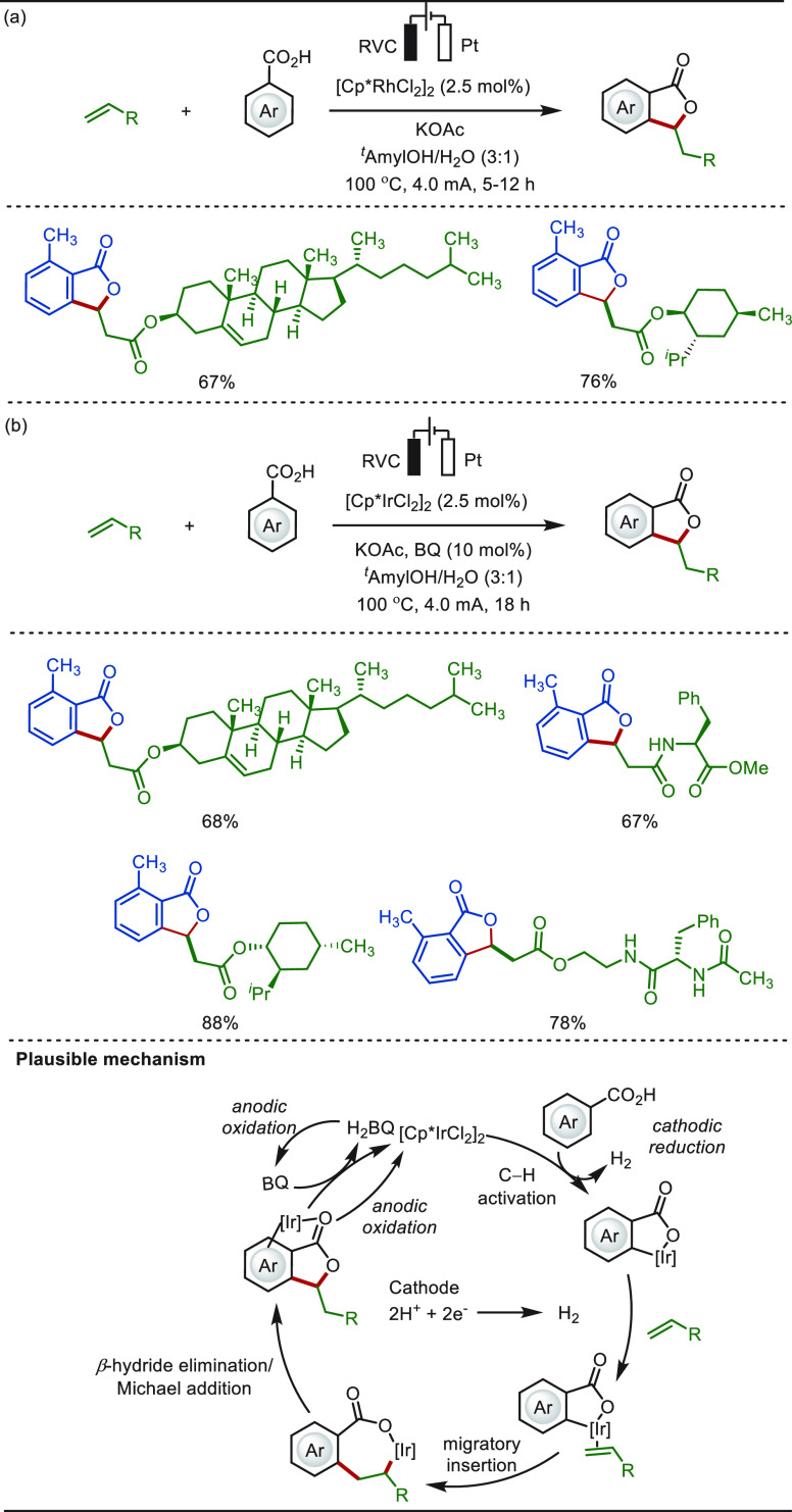 PMC10571048 – sch51