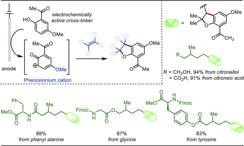 PMC10571048 – sch56