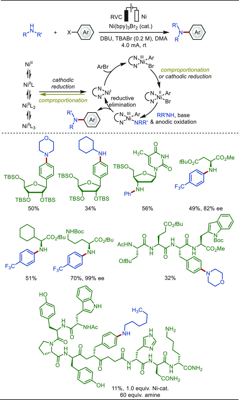 PMC10571048 – sch61