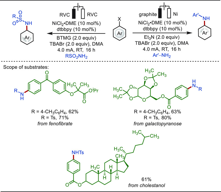 PMC10571048 – sch62