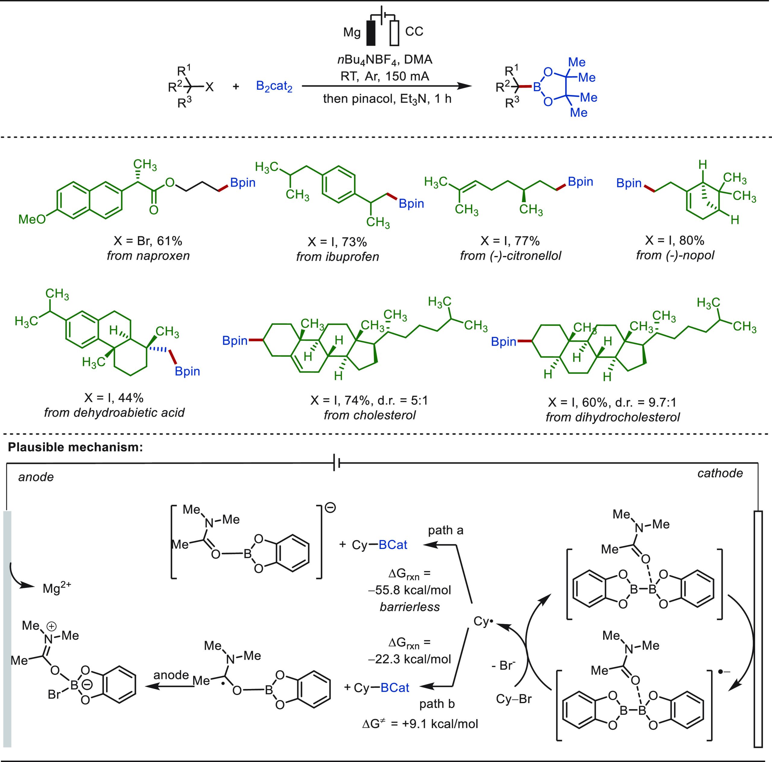 PMC10571048 – sch66