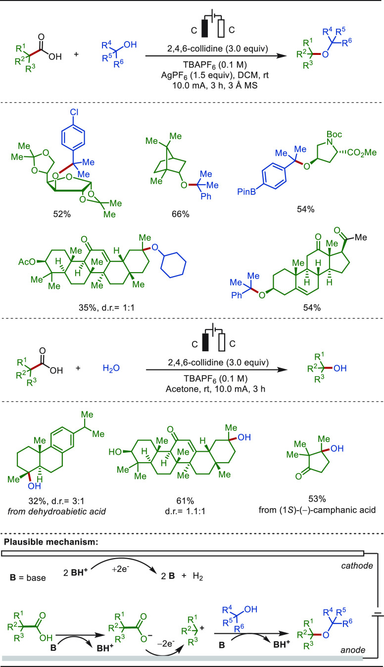 PMC10571048 – sch70