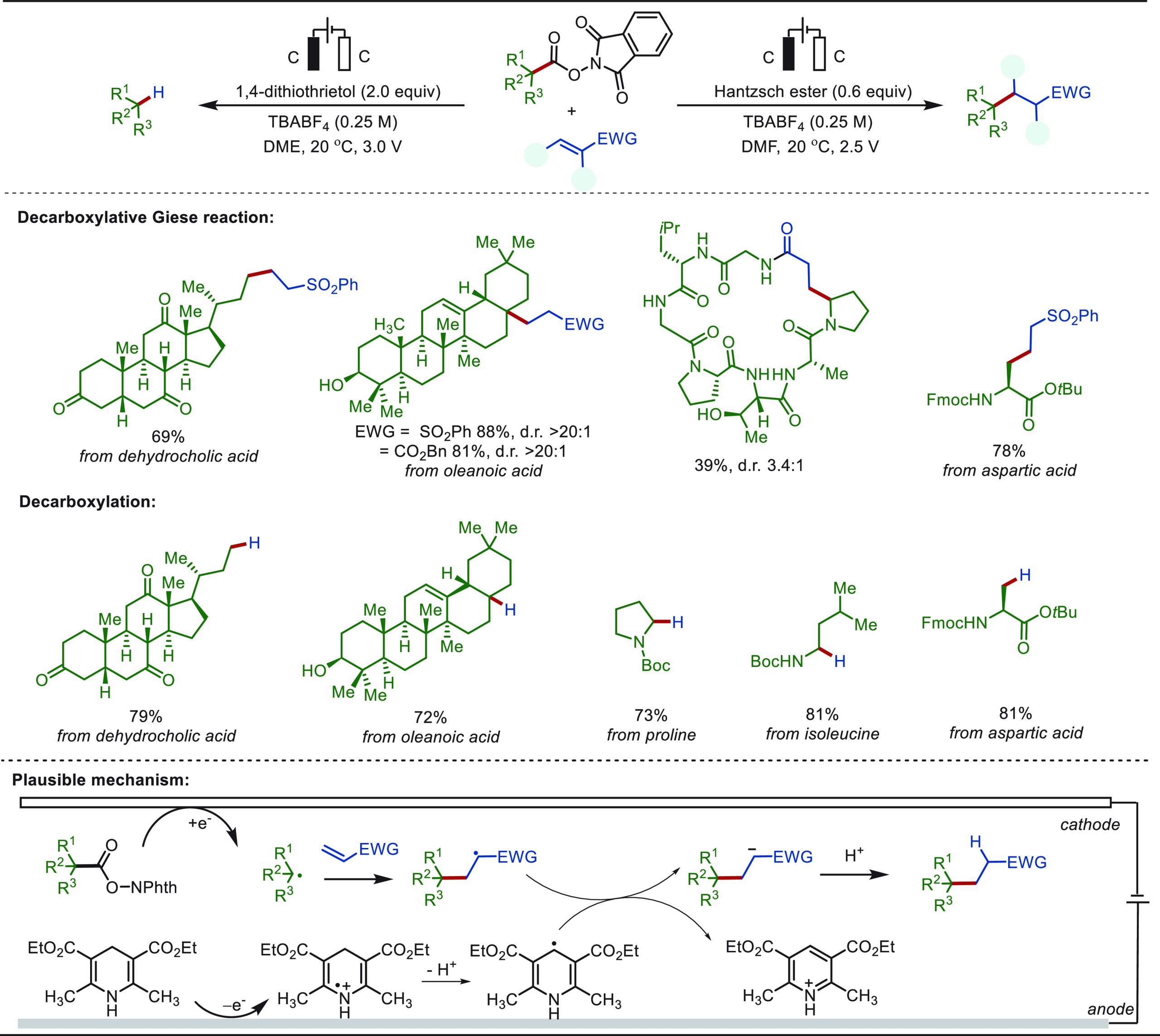 PMC10571048 – sch71