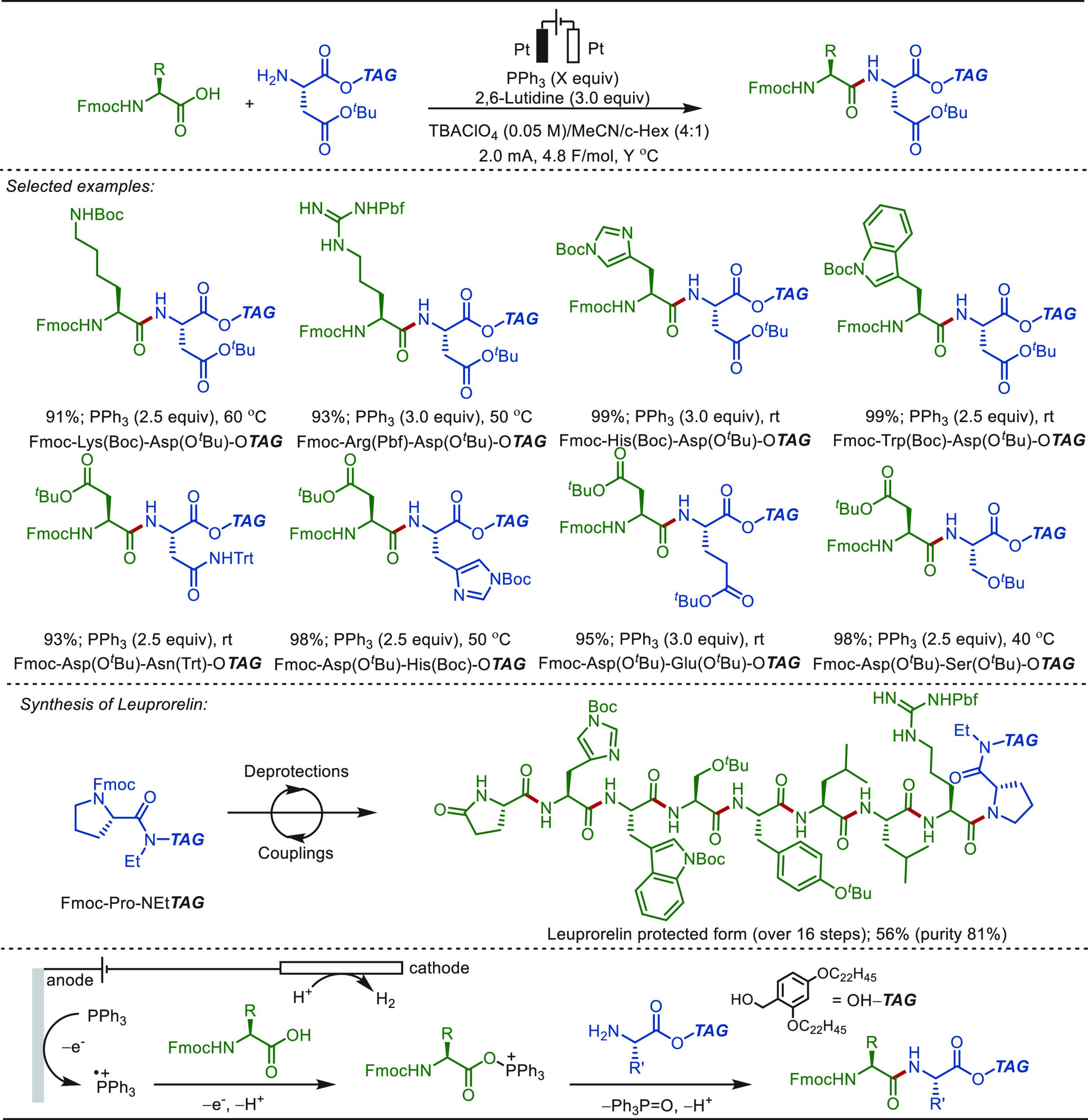 PMC10571048 – sch74