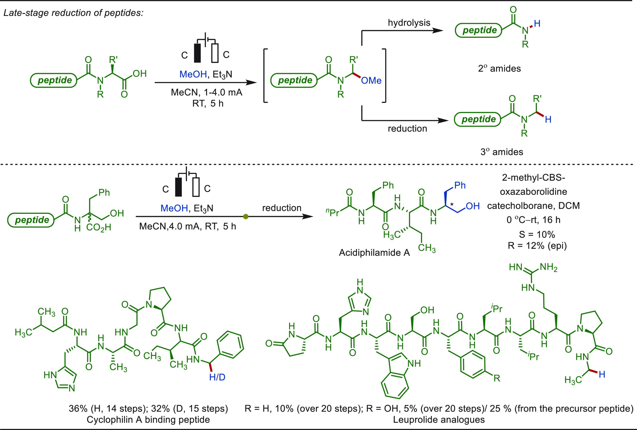 PMC10571048 – sch76