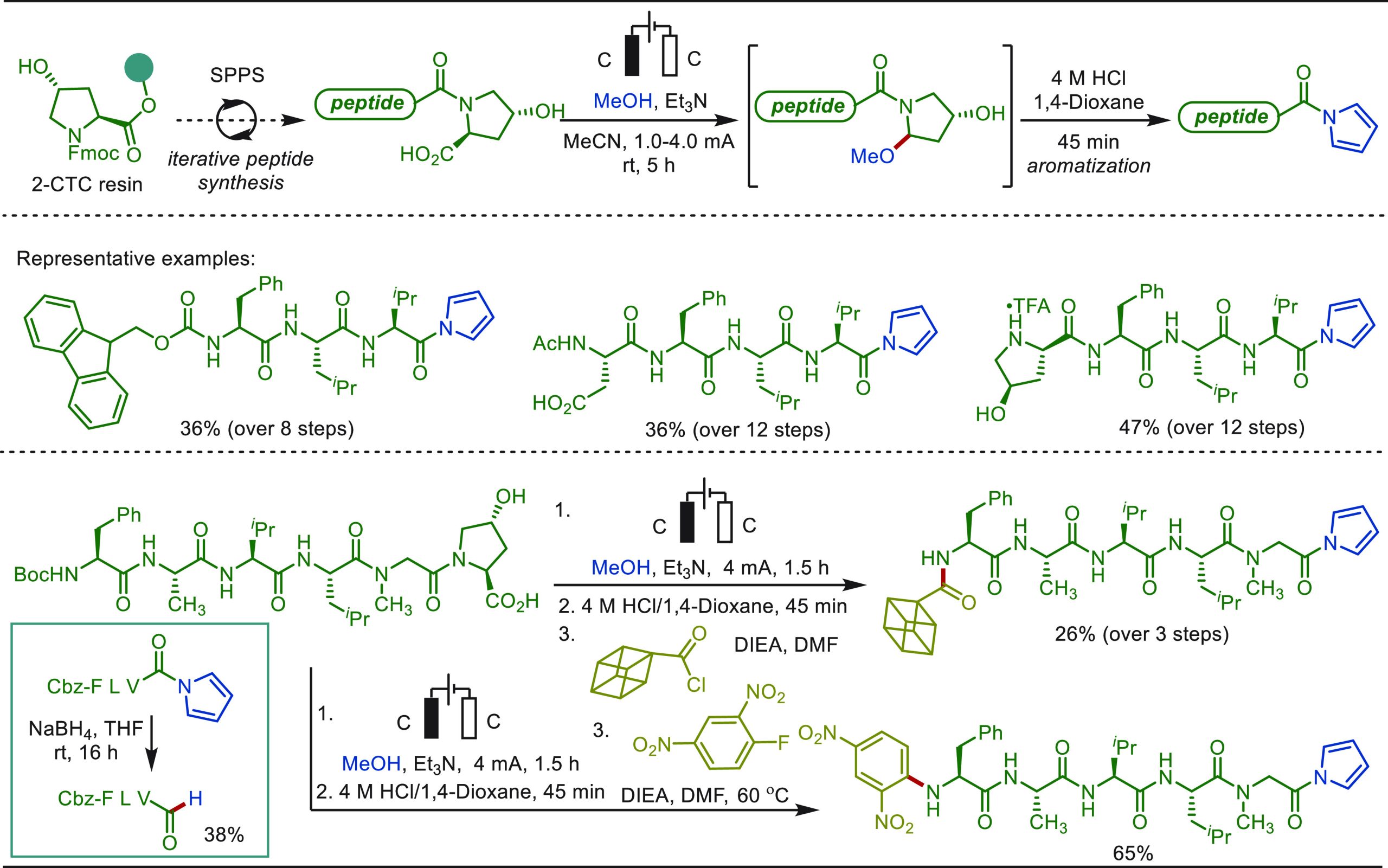 PMC10571048 – sch77