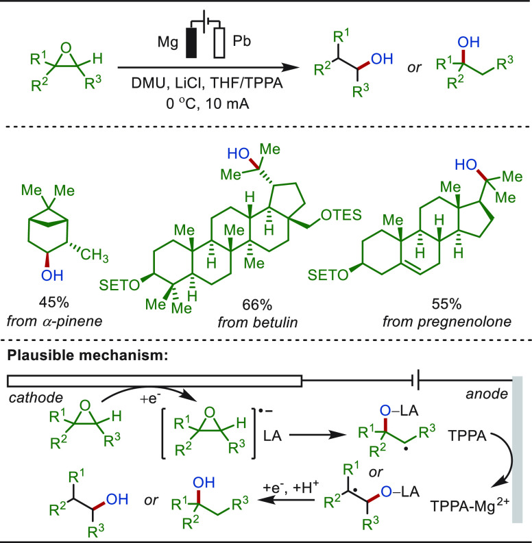 PMC10571048 – sch81