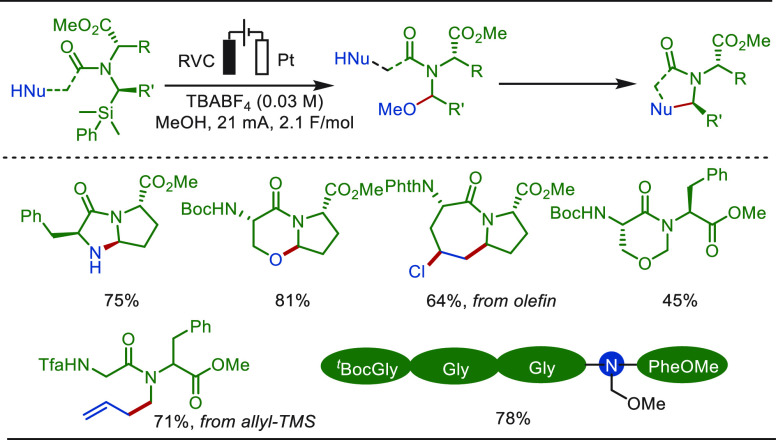 PMC10571048 – sch85