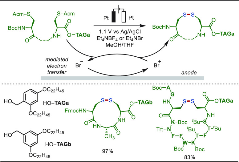 PMC10571048 – sch87